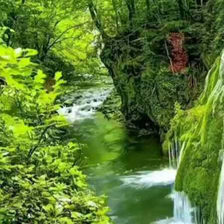 کبوتر خیالم ره سر بوم یارم نا امید و بال زخمی اوی دیارم