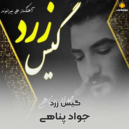 جواد پناهی  گیس زرد