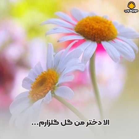 دانلود آهنگ الا دختر من گل گلزارم
