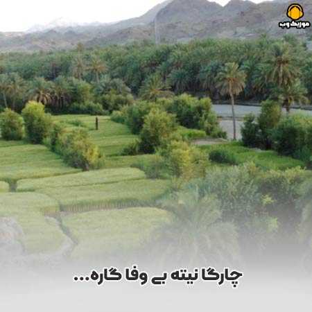 دانلود آهنگ بلوچی چارگا نیته بی وفا گاره