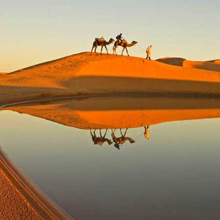 عربی گولو گولو