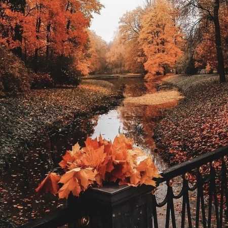 پاییزه پاییزه تو گل خونه چشمای سیات گل ریزه گل ریزه