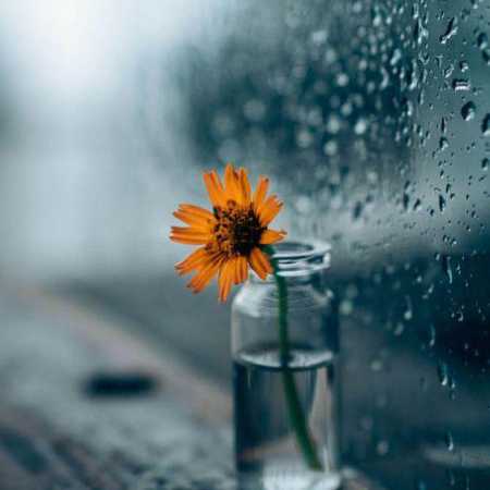 صدای رقص قطره ها رو ناودون