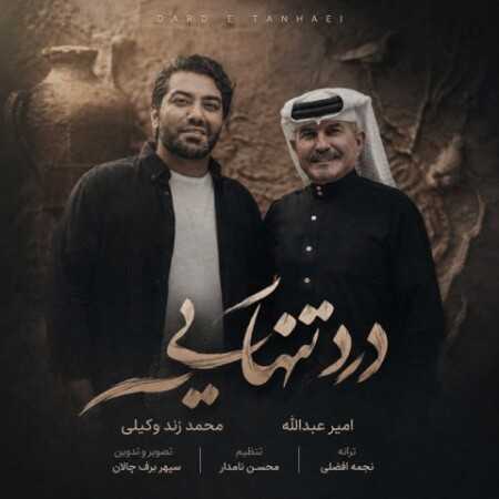 امیر عبدالله و محمد زندوکیلی درد تنهایی