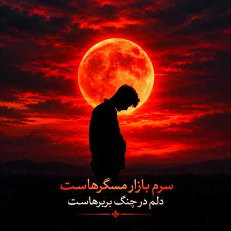 سرم بازار مسگرهاست دلم در چنگ بربرهاست