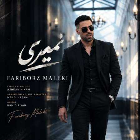 نمیری از فریبرز ملکی